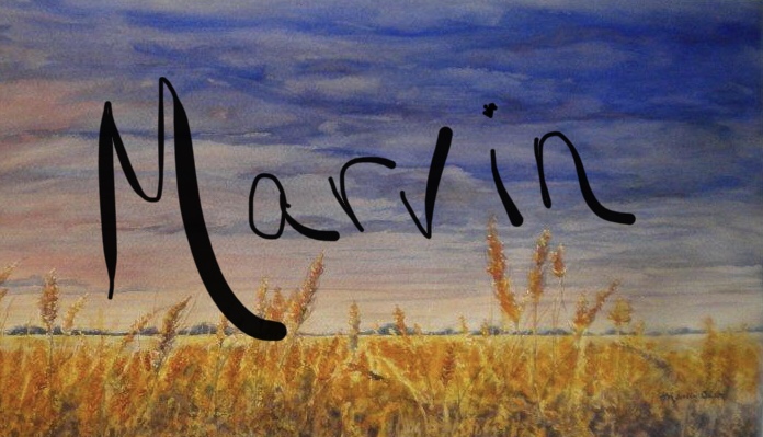 The Marvin Galleries